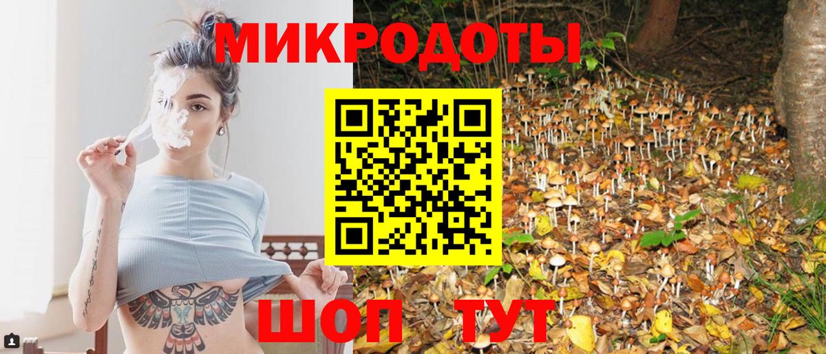 Галлюциногенные грибы Magic Shrooms  Вход с VPN  Псилоцибиновые грибы Magic Shrooms  Мелеуз 